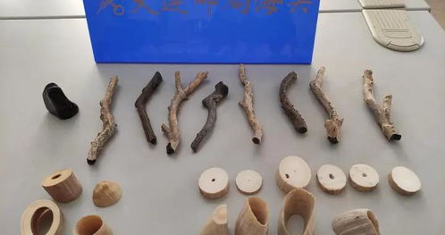 馬牙生物制品 探索傳統(tǒng)與現(xiàn)代的融合