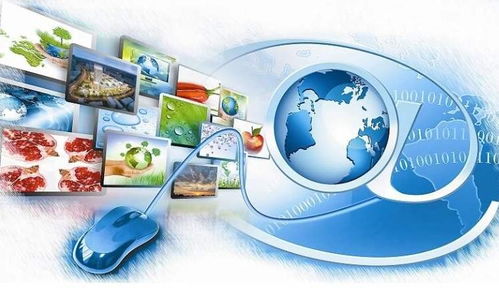 上海到洛陽生物制品冷鏈物流優(yōu)選指南